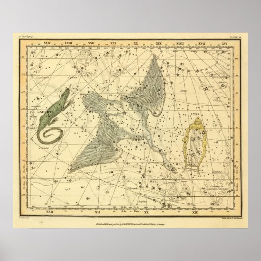 Cygnus, Laceria en Via Lactea Poster (Voorkant)