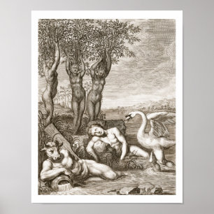 Cygnus transformeerde naar een Swan en Phaeton's S Poster