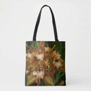 Cymbidium tracyanum draagtas