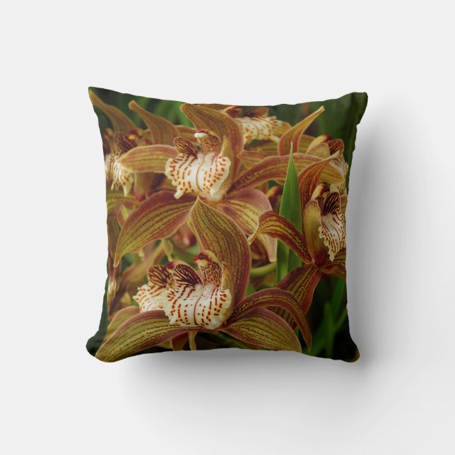 Cymbidium tracyanum kussen (Voorkant)