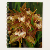 Cymbidium tracyanum planner (Voorkant)
