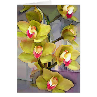 Cymbidiums Chartreuse