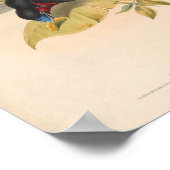 Cymbirhynchus Macrorhynchos Bird oF Asia Poster (Hoek)