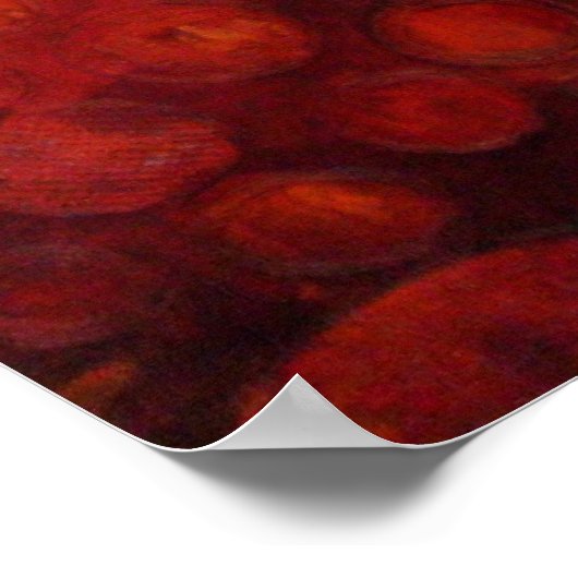 Cyndi's tuin - Canvas Print (Hoek)