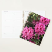 Cynthia Rhododendrons, Oregon (Devant avec enveloppe)
