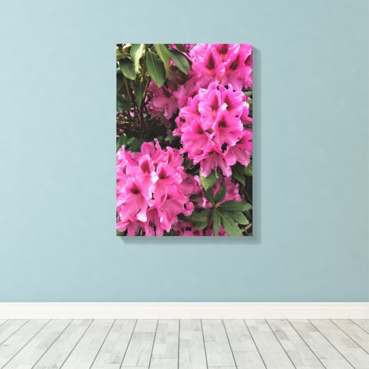 Cynthia Rhododendrons, Oregon Canvas Afdruk (Insitu (Houten vloer))