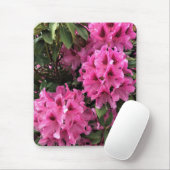 Cynthia Rhododendrons, Oregon Muismat (Met muis)