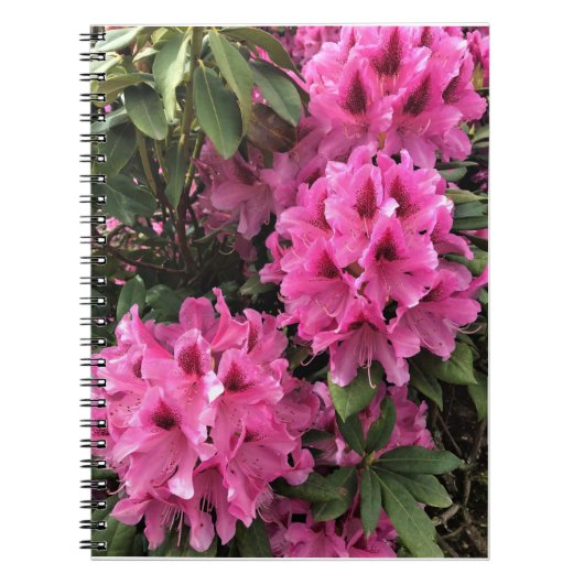 Cynthia Rhododendrons, Oregon Notitieboek (Voorkant)