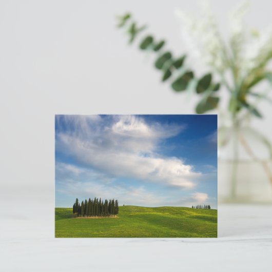 Cypersbomen in het briefkaart Toscane (Staand voorkant)