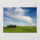 Cypersbomen in het briefkaart Toscane (Voorkant)