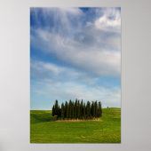 Cypersbomen in het verticale poster van Toscane (Voorkant)