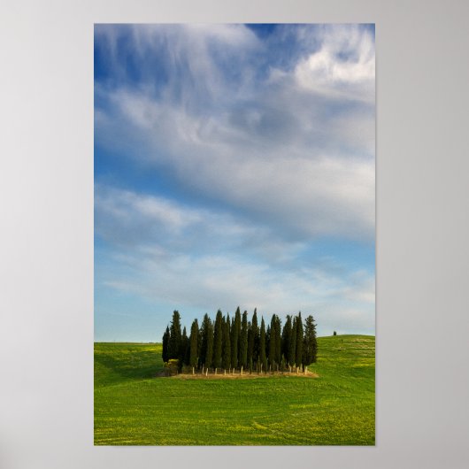 Cypersbomen in het verticale poster van Toscane (Voorkant)