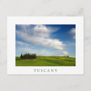 Cypersbomen in het witte briefkaart Toscane