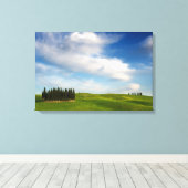 Cyprès en toile toscane (Insitu (Plancher de Bois))