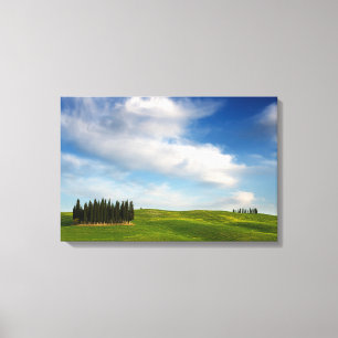 Cyprès en toile toscane