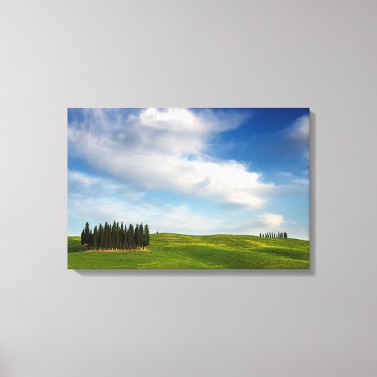 Cyprès en toile toscane (Recto)