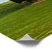 Cyprès en Toscane affiche verticale (Coin)
