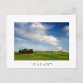 Cyprès en Toscane carte postale blanche (Devant)