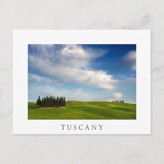 Cyprès en Toscane carte postale blanche (Devant)