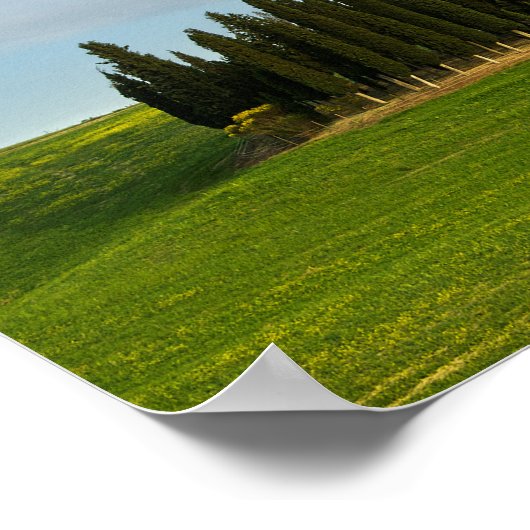 Cyprès en Toscane poster vertical (Coin)