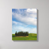 Cyprès en Toscane toile verticale (Recto)