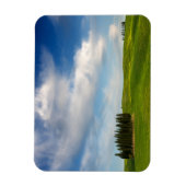 Cypresbomen in Toscane rechthoekige magneet (Verticaal)