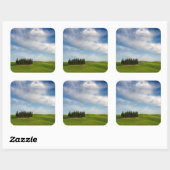 Cypresbomen in Toscane sticker (Vel)