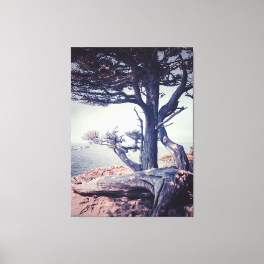Cypress bij het Zee Canvas Afdruk (Voorkant)