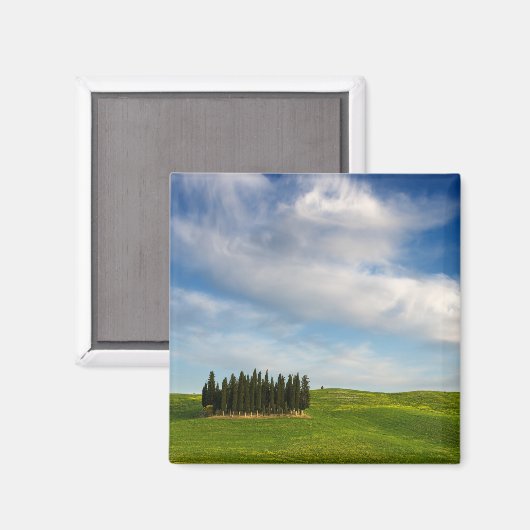 Cypress bomen in Toscane magneet (Voorkant / Achterkant)