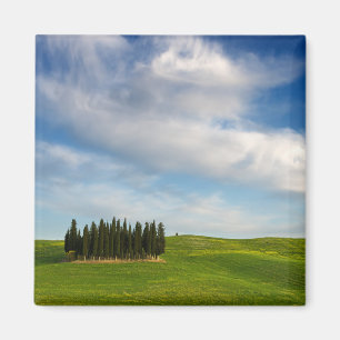Cypress bomen in Toscane magneet
