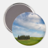 Cypress bomen in Toscane ronde magneet (Voorkant / Achterkant)