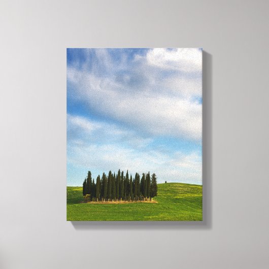 Cypress bomen in Toscane verticaal canvas Afdruk (Voorkant)