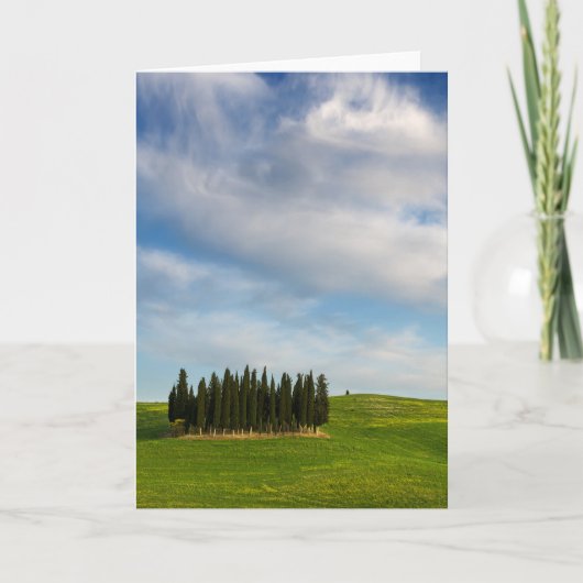 Cypress bomen in Toscane verticaal wenskaart Kaart (Voorkant)