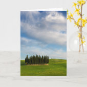 Cypress bomen in Toscane verticaal wenskaart Kaart (Gele Bloem)