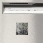 Cypress Bomen Magnet Magneet (Insitu (Vaatwasser))