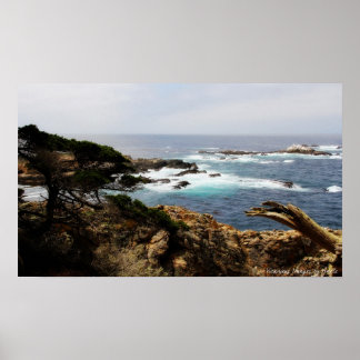 Cypress Coast Print