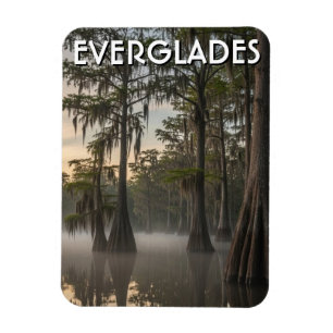 Cypress Dome Everglades National Park Florida Magneet