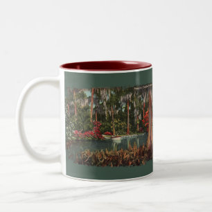 Cypress Gardens Floride Café Mug