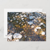 Cypress Hills, Alb. Canada Briefkaart (Voorkant / Achterkant)