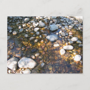 Cypress Hills, Alb. Canada Briefkaart