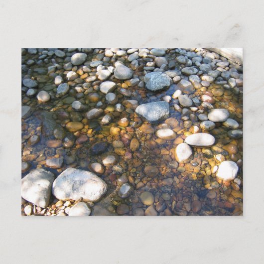 Cypress Hills, Alb. Canada Briefkaart (Voorkant)