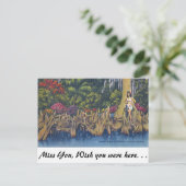 Cypress Knees Briefkaart (Staand voorkant)