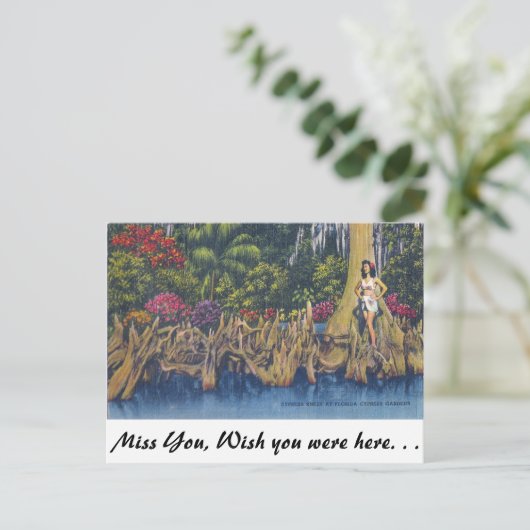 Cypress Knees Briefkaart (Staand voorkant)