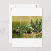 Cypress Knees Briefkaart (Voorkant / Achterkant)