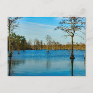 Cypress Lake Briefkaart