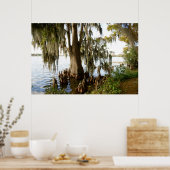 Cypress Lake Poster (Keuken)