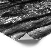 Cypress-meer in zwart-wit poster (Hoek)