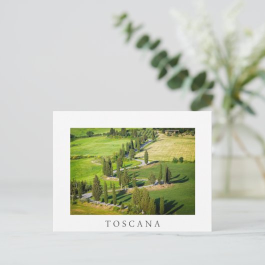 Cypress route sinueuse en Toscane carte postale bl (Debout devant)