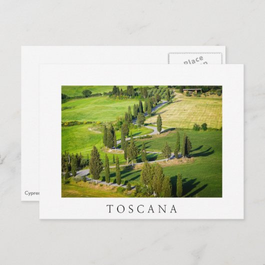 Cypress route sinueuse en Toscane carte postale bl (Devant / Derrière)