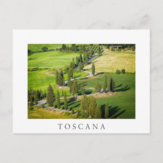 Cypress route sinueuse en Toscane carte postale bl (Devant)